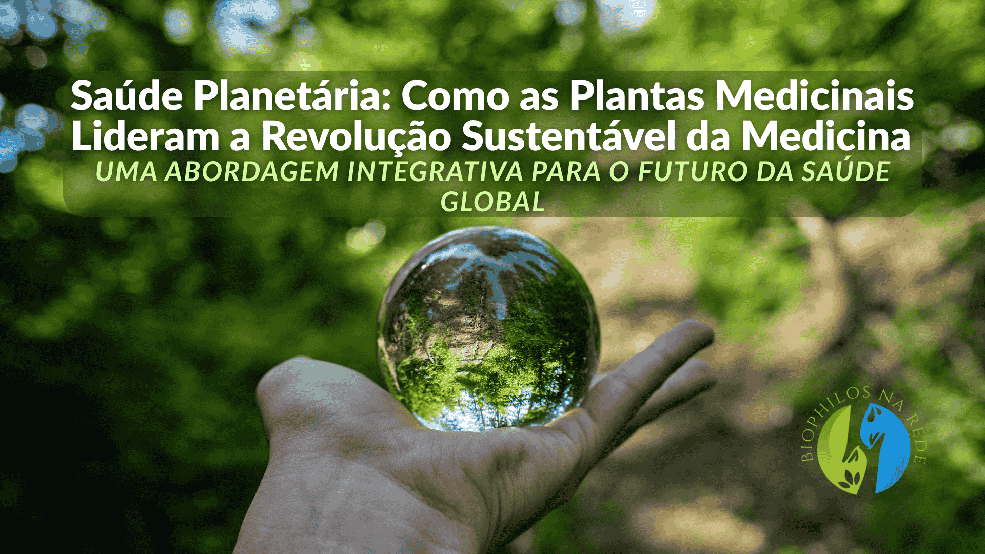 Saúde Planetária: Como as Plantas Medicinais Lideram a Revolução Sustentável da Medicina