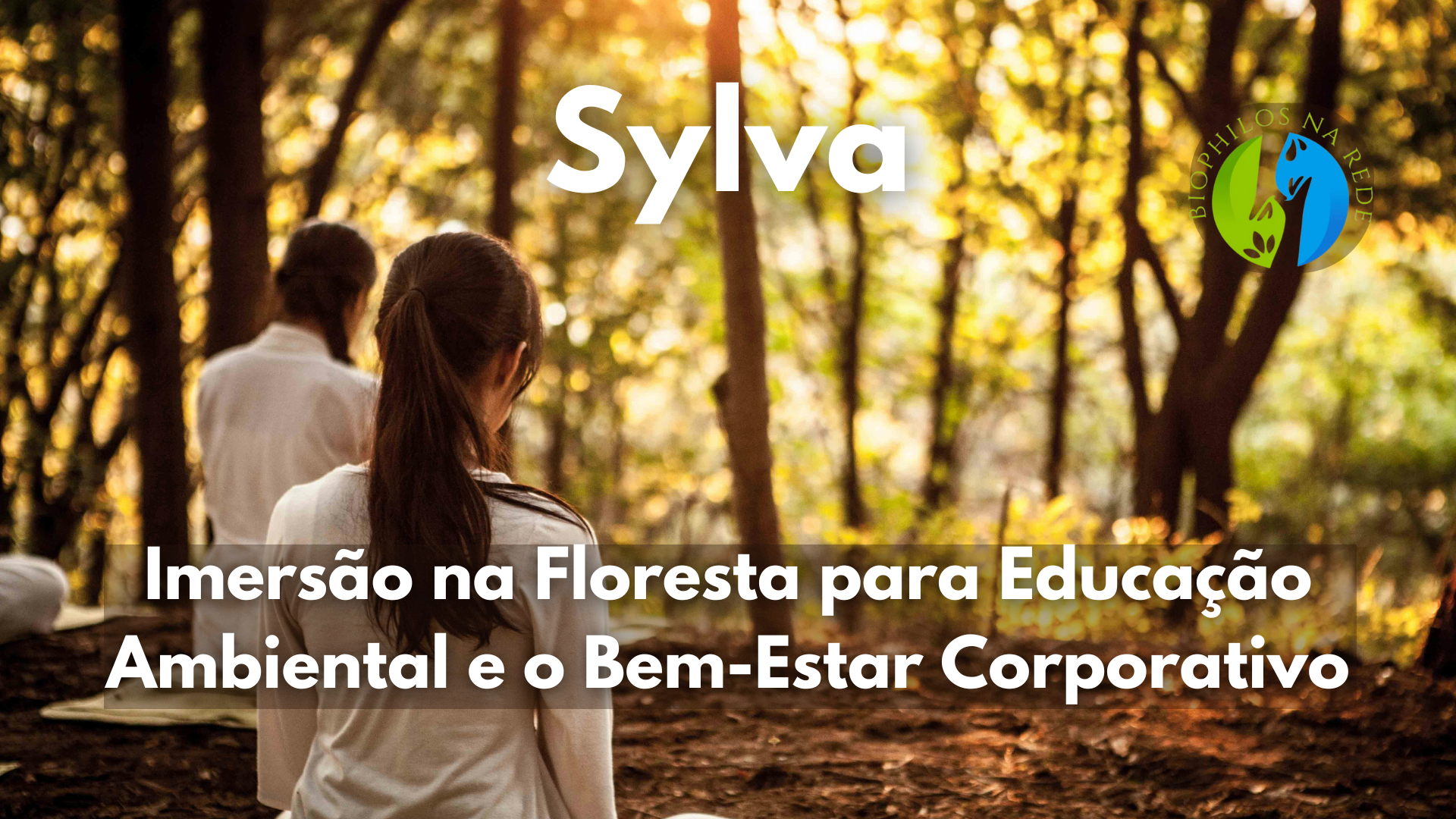 Sylva: Imersão na Floresta para Educação Ambiental e o Bem-Estar Corporativo