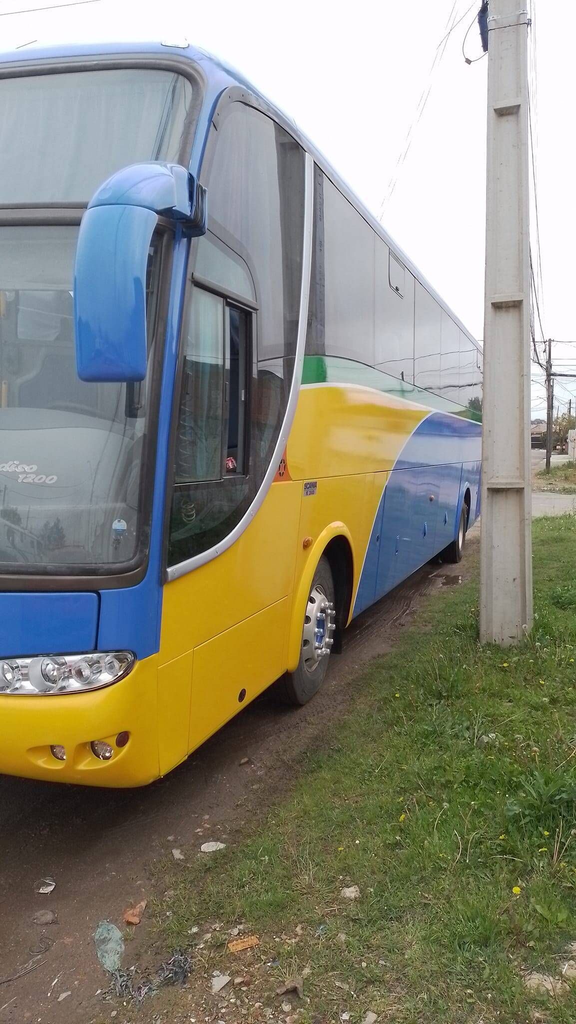 Pinturas Artísticas Personalizadas - Foto 66