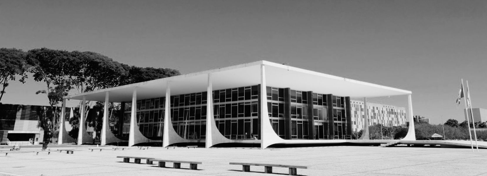 Imagem do Slide Home