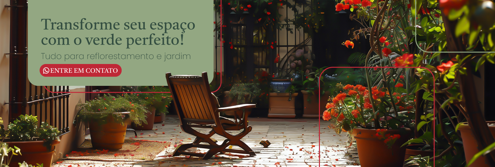 Imagem do Slide Home