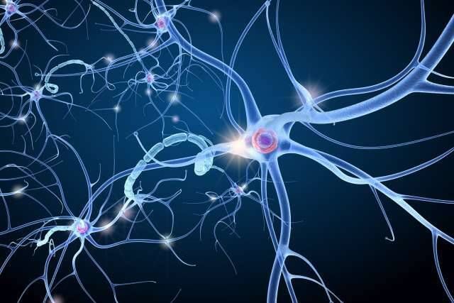 Dor Muscoesqueletica - Foto 4