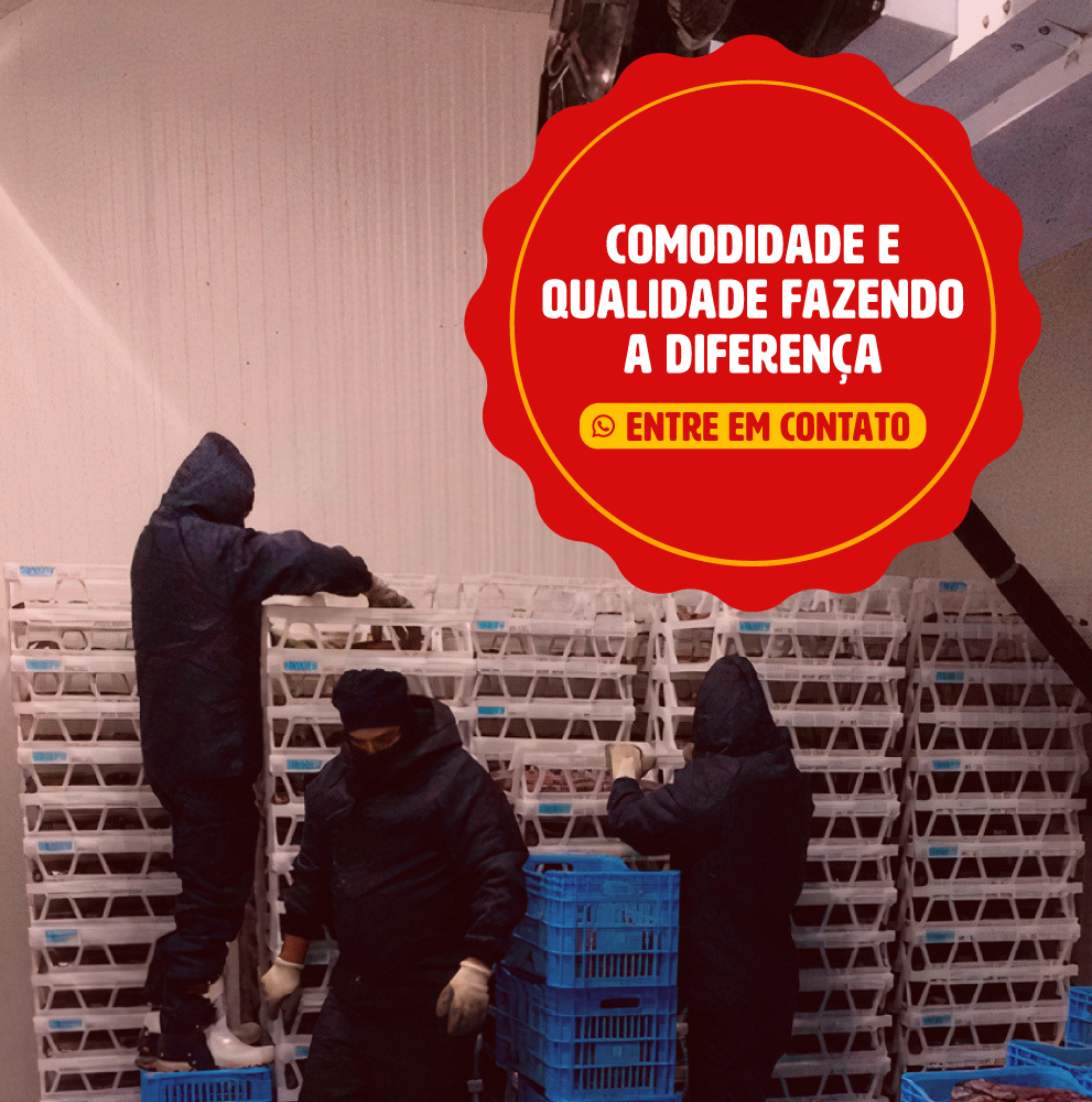 Imagem do Slide Home