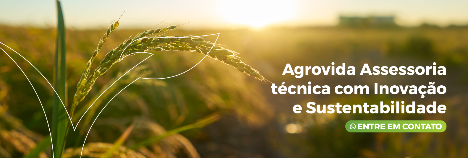 Imagem do Slide Home