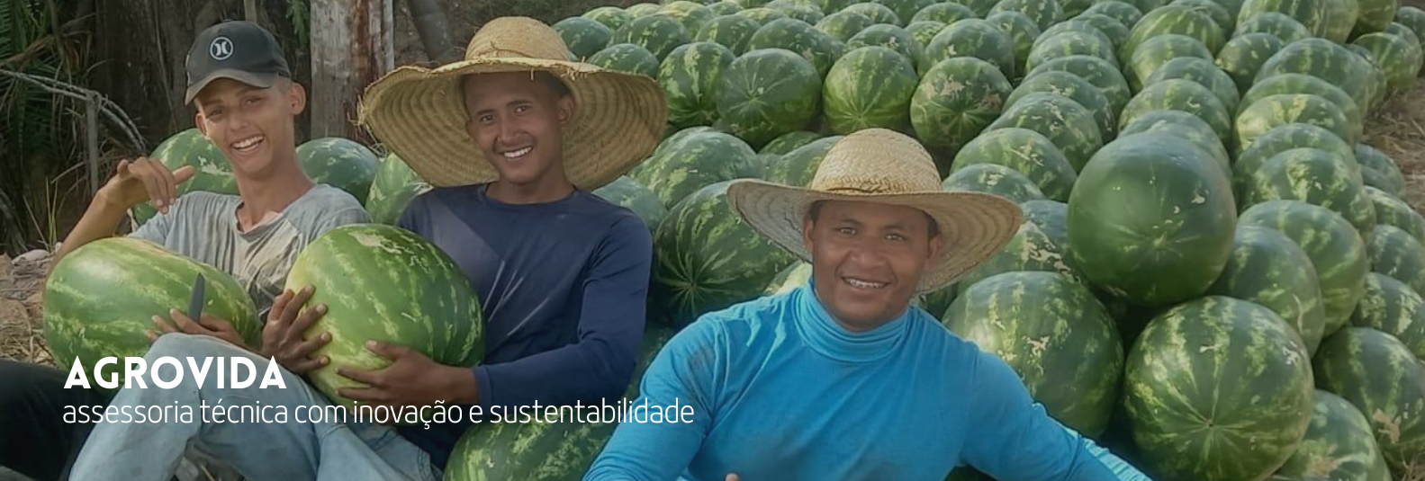 Imagem do Slide Home