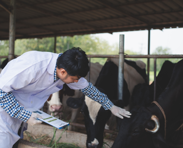 Consultoria Agrícola e Pecuária - Foto 1