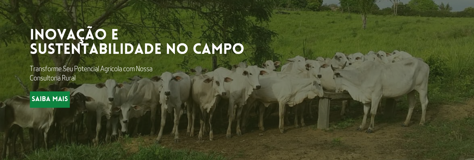 Imagem do Slide Home