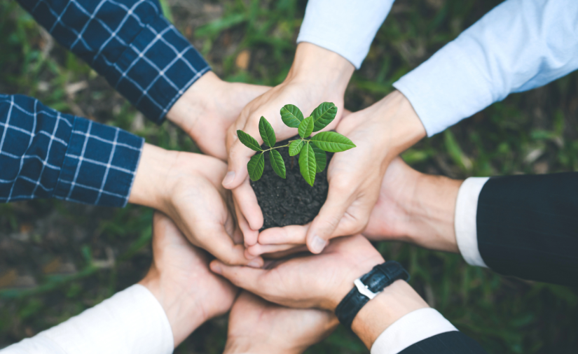 Educação Ambiental - Foto 1