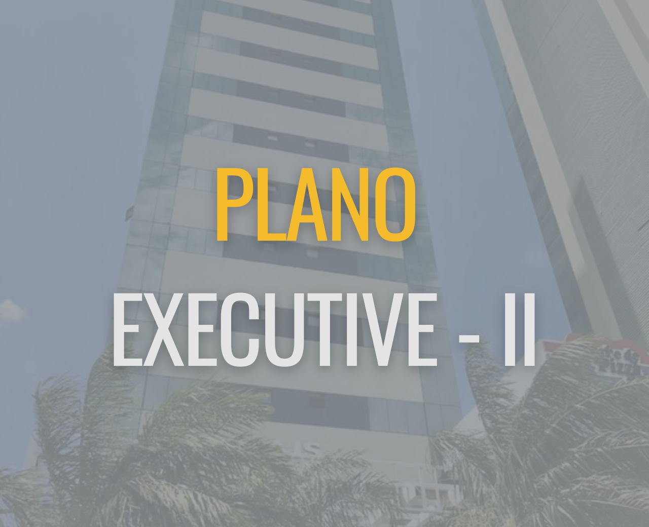 Plano Executive - II