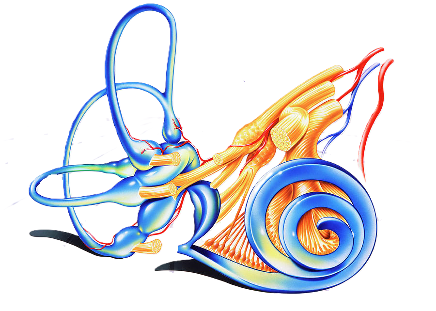 a beleza do labirinto