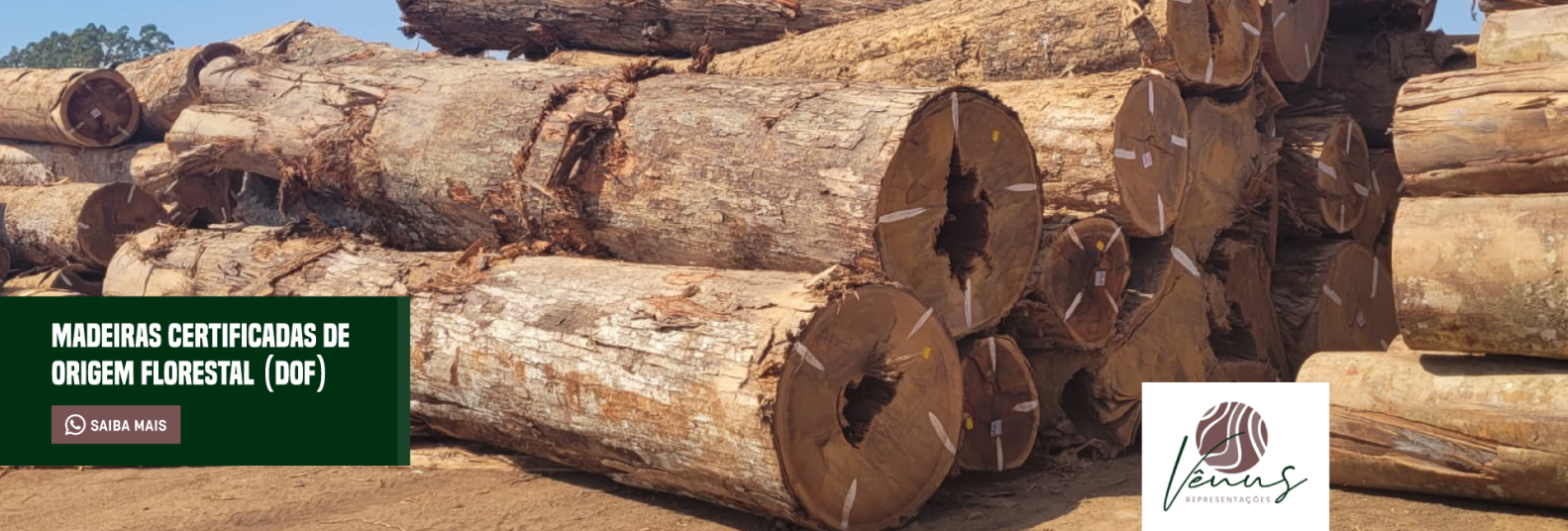 Imagem do Slide Home