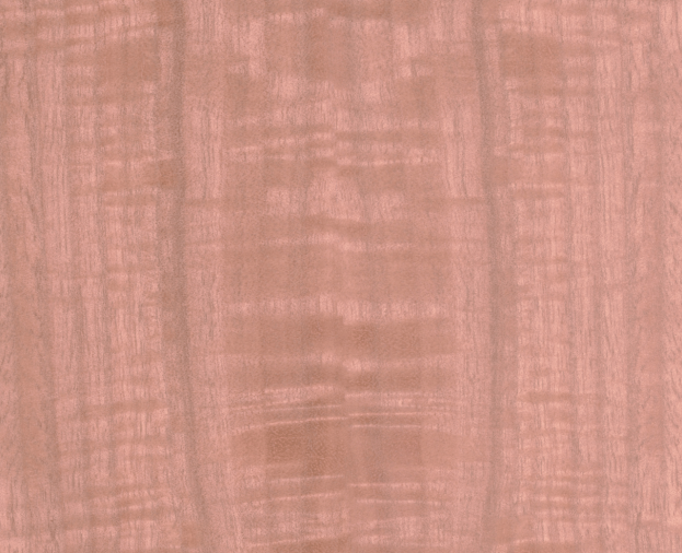 Eucalipto Rosa - Foto 1