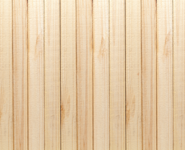 Forro de Pinus - Foto 1