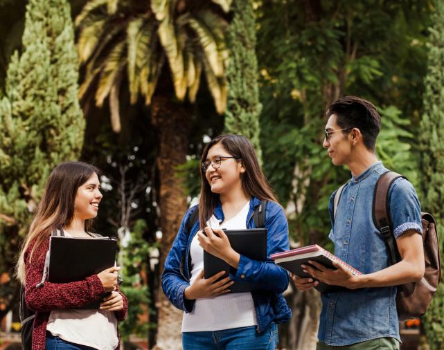 Programas de Trainees e Estágios - Foto 1