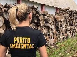 como atuar como perito assistente técnico ambiental?