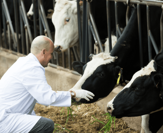 Agricultura e Agropecuária - Foto 1