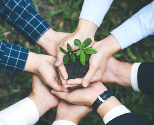 ISO 14001 - Gestão Ambiental - Foto 1