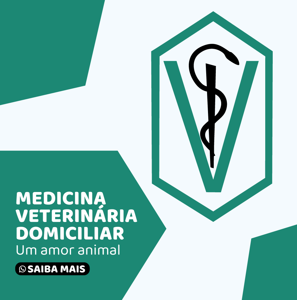 Imagem do Slide Home