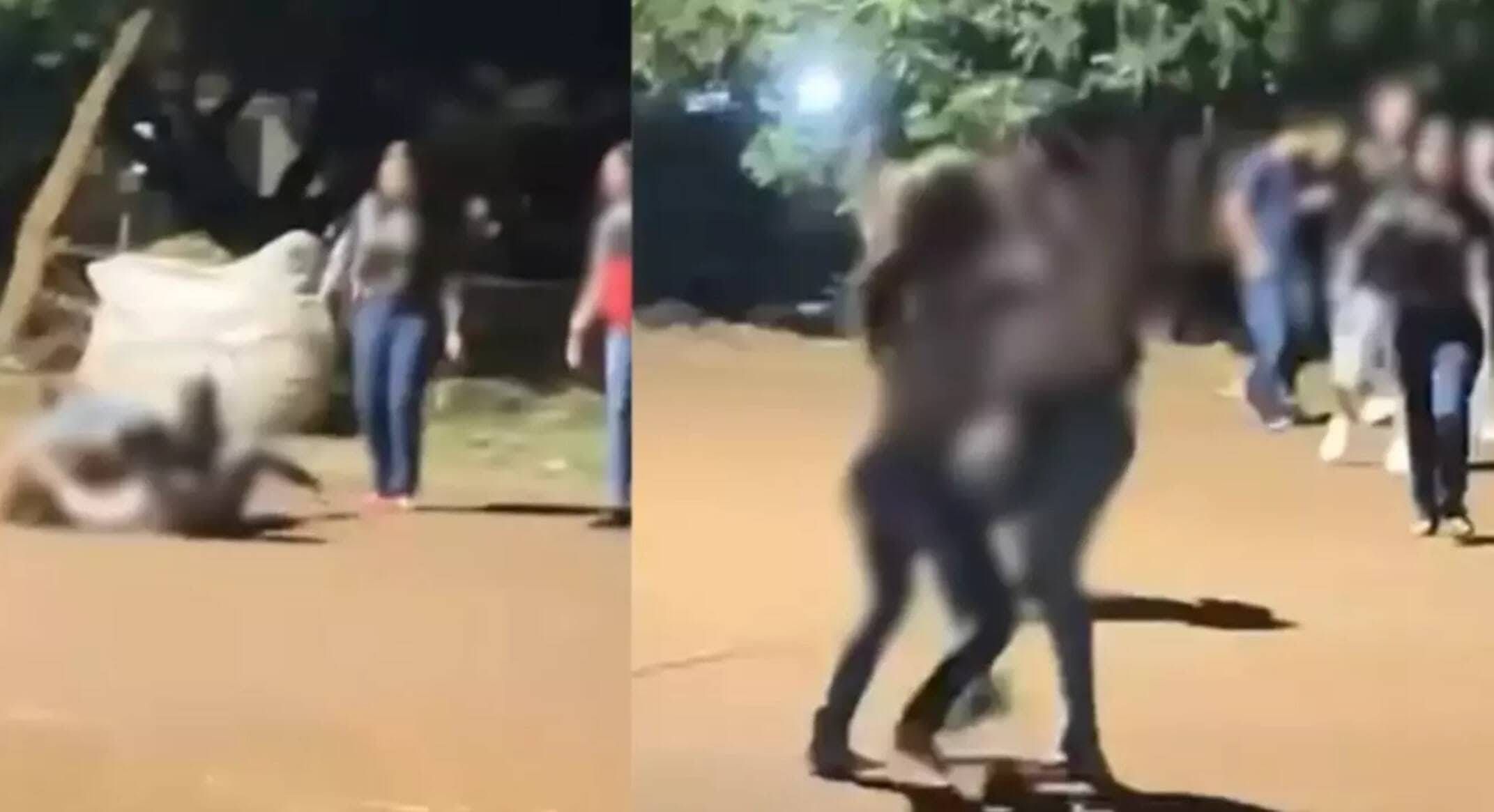 Adolescente é apreendida após esfaquear colega na saída da escola em Campo Grande