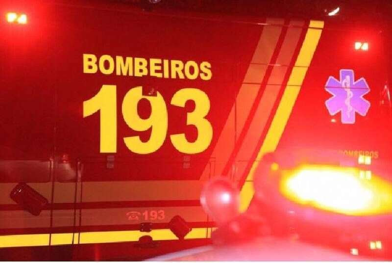 Bebê de 5 meses morre após veículo colidir com vacas em rodovia de MS