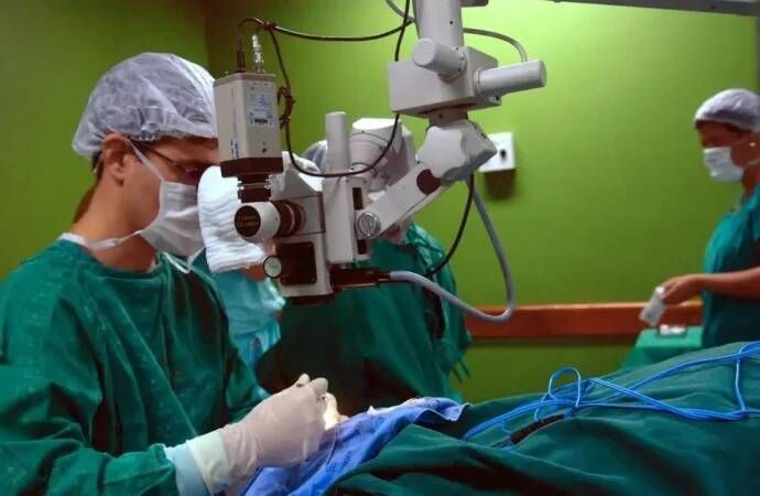 Câncer de intestino que vitimou Preta Gil é o 3º mais comum no país
