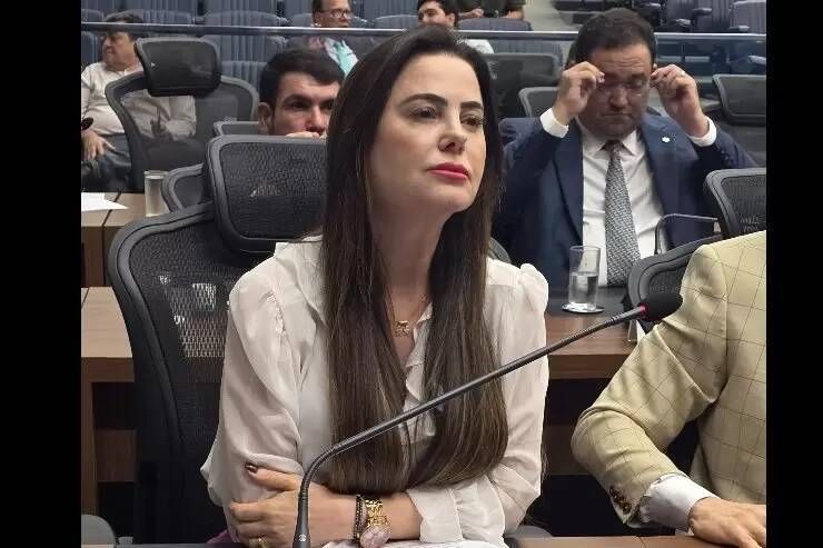 Deputada Mara Caseiro solicita construção de ponte de concreto na MS-229, em Chapadão do Sul