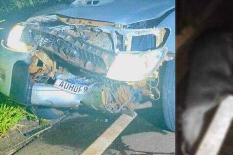 Família escapa ilesa após caminhonete bater em anta na MS-316, em Paraíso das Águas