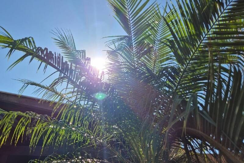 Final de semana com clima agradável em Chapadão do Sul