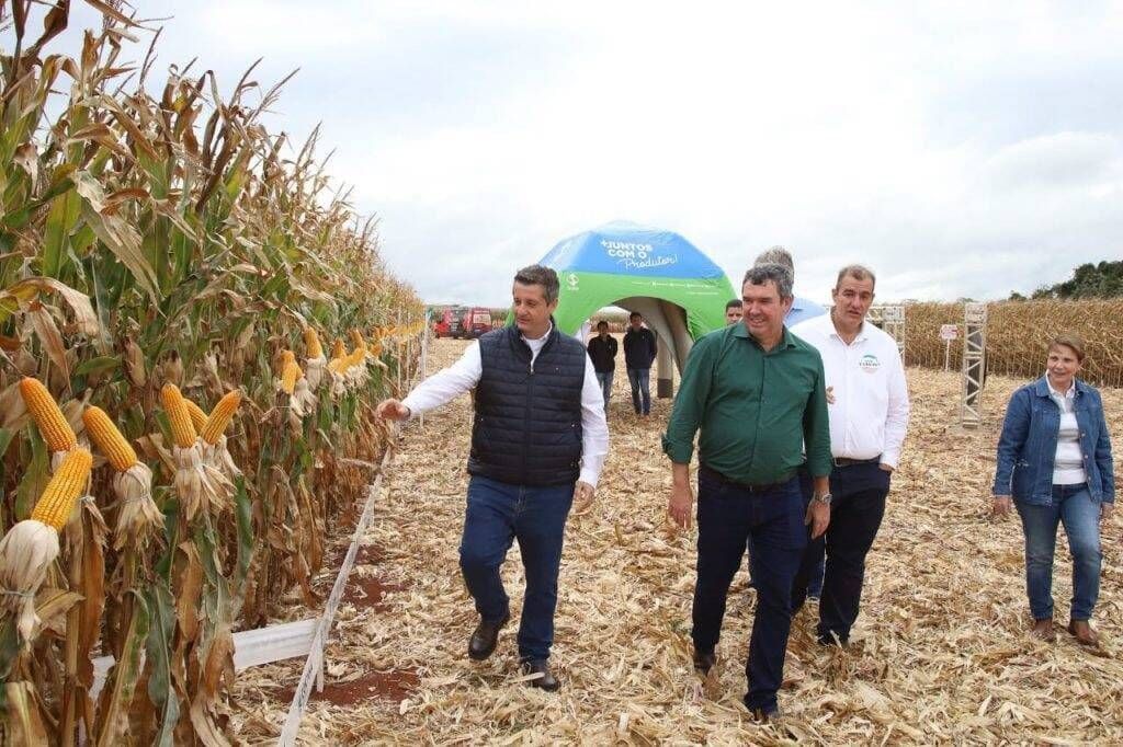 Governo de MS discute novas tecnologias e modelos para impulsionar produção de milho