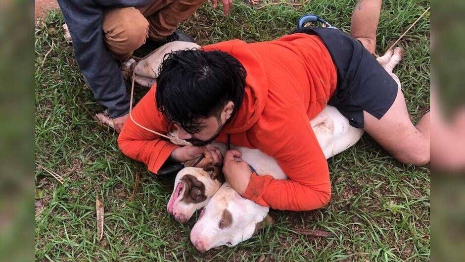 Lutador de Muay Thai é atacado, derrubado e imobiliza dois pitbulls em MS
