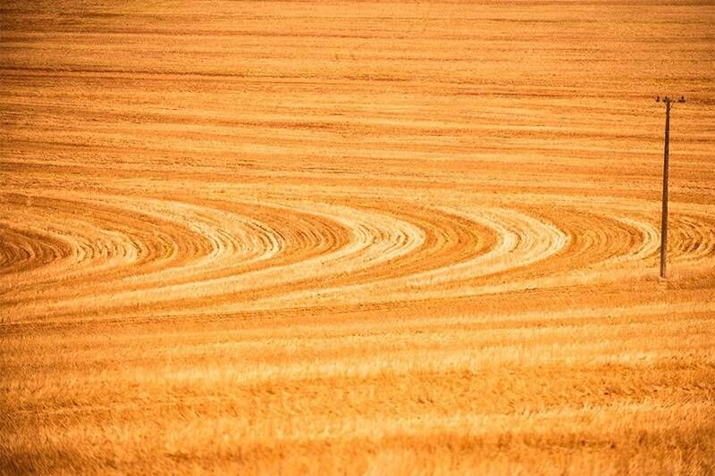 Manejo de solo passa a fazer parte do Zoneamento de Risco Climático da sojas