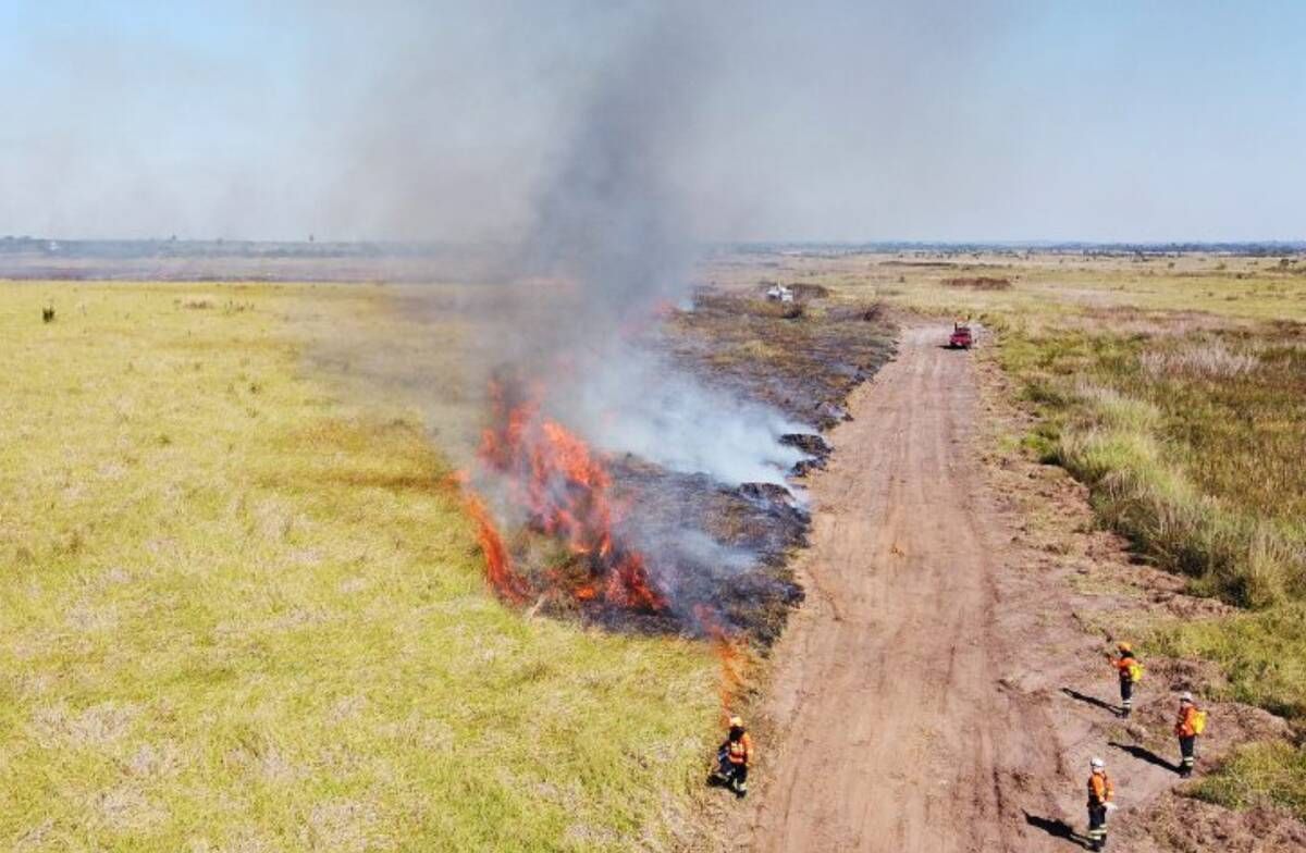 Medidas integram prevenção a incêndios no Pantanal e desburocratização do licenciamento em MS