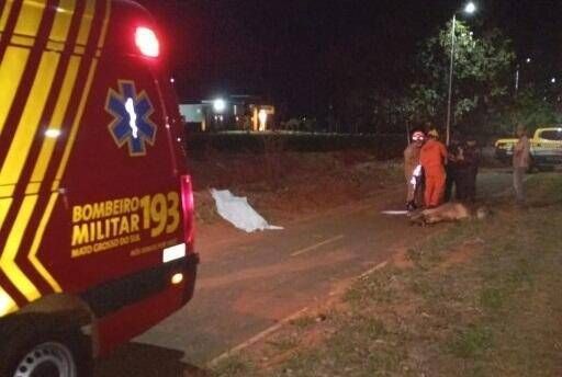 Motociclista colide em bezerro e morre na MS-473, em Taqurussu, MS