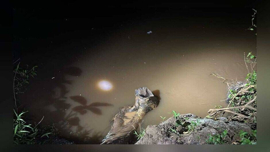 Pescador cai em rio e morre em fazenda na saída para Rochedo