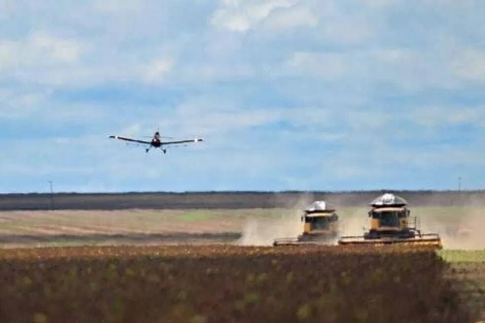 Pista de avião e 50 mil cabeças de gado: MS tem duas das 10 fazendas mais caras do país