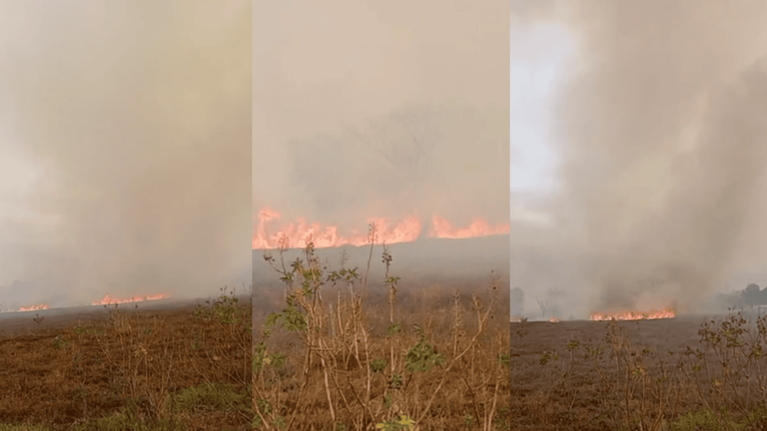 VÍDEO: Incêndio atinge área aos fundos de hospital e fumaça cobre região sul da Capital