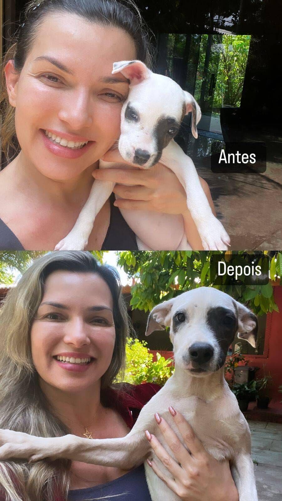 SANTUÁRIO LILLOU - Foto 3