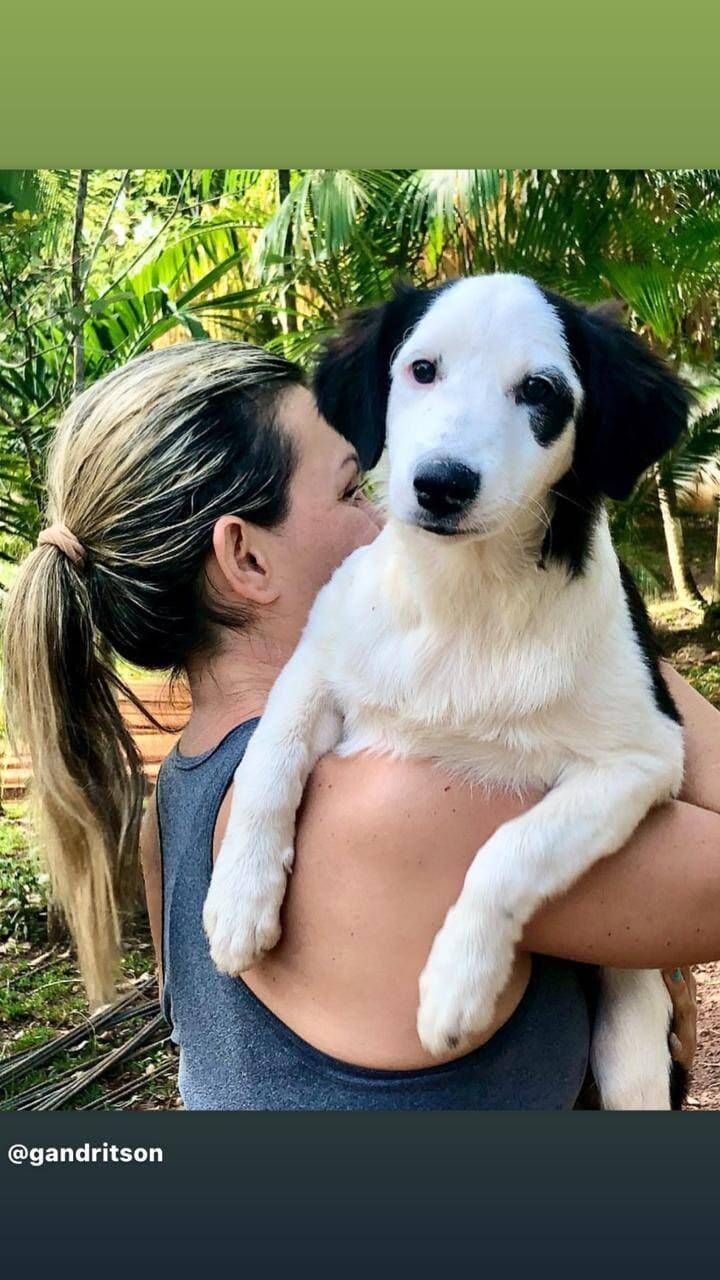 SANTUÁRIO LILLOU - Foto 7