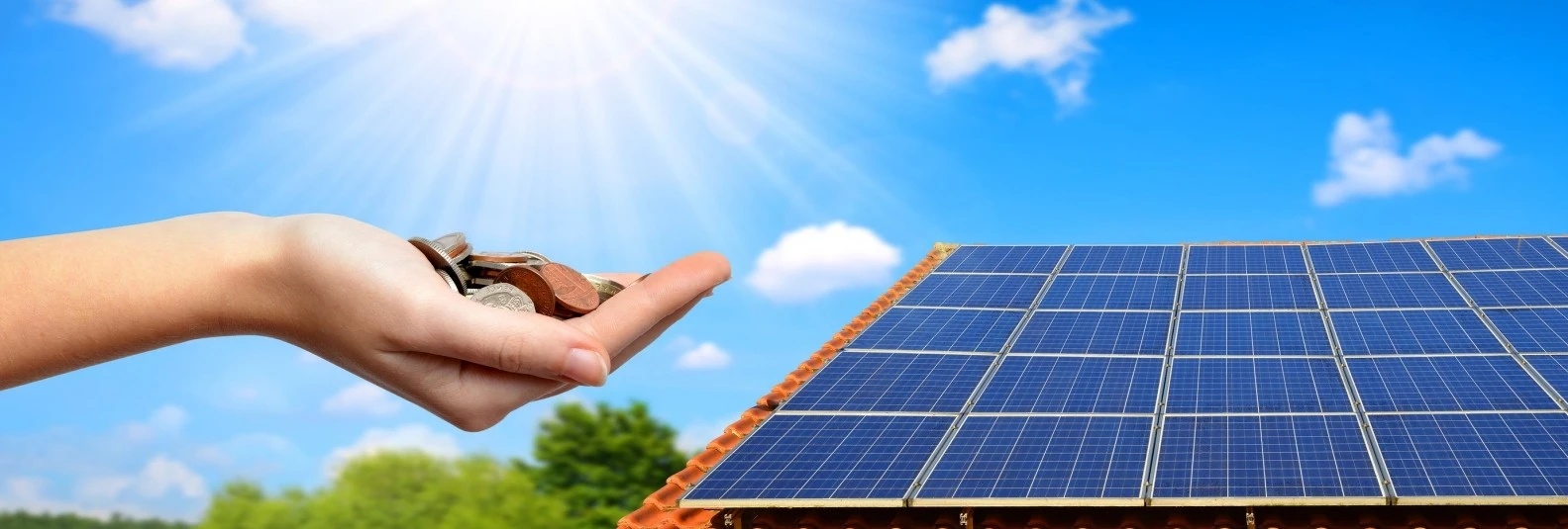 Imagem do Slide Home