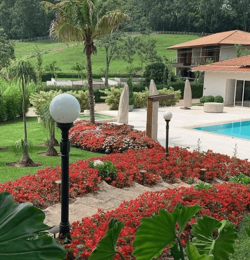 Serviços de Paisagismo - Foto 1