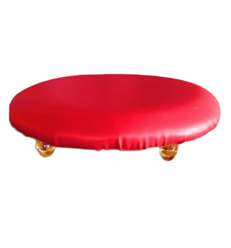 SKATE TARTARUGA SENSORY TOY - Foto 1