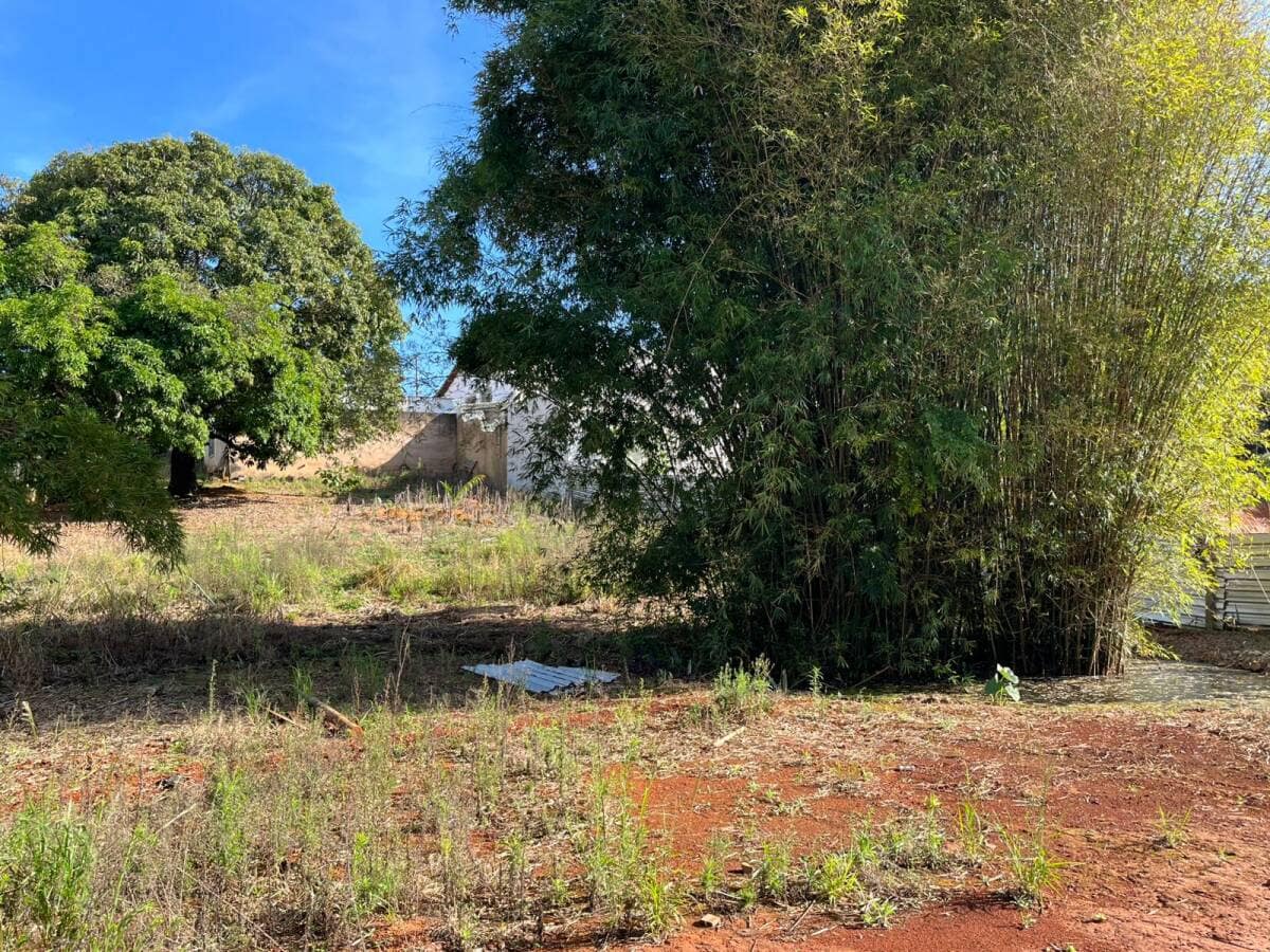 Preparação do Terreno | Ampliação da Casa Espírita - Foto 10
