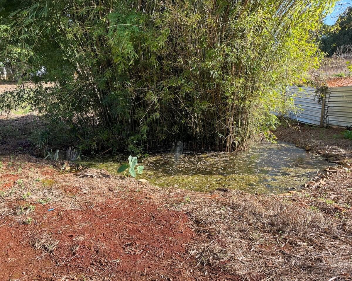 Preparação do Terreno | Ampliação da Casa Espírita - Foto 5