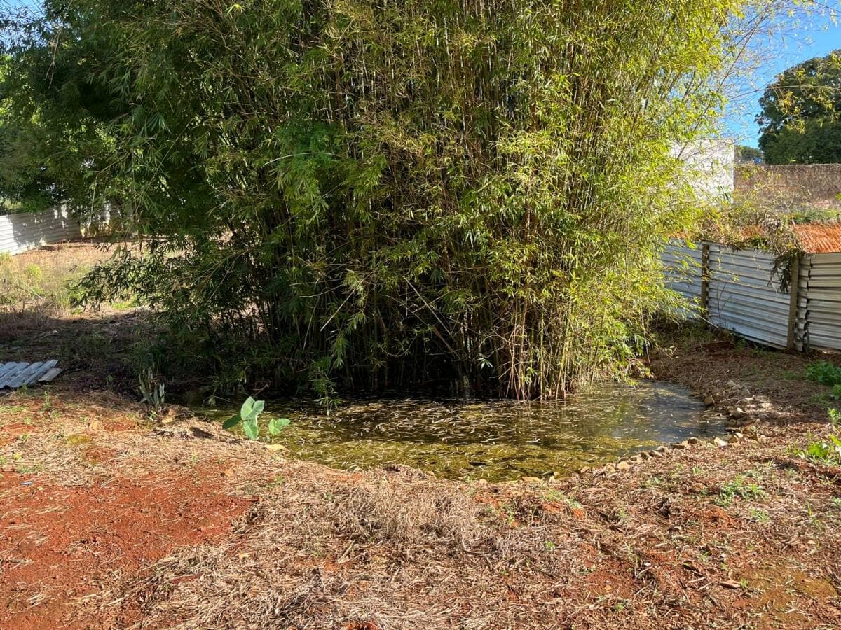 Preparação do Terreno | Ampliação da Casa Espírita - Foto 9