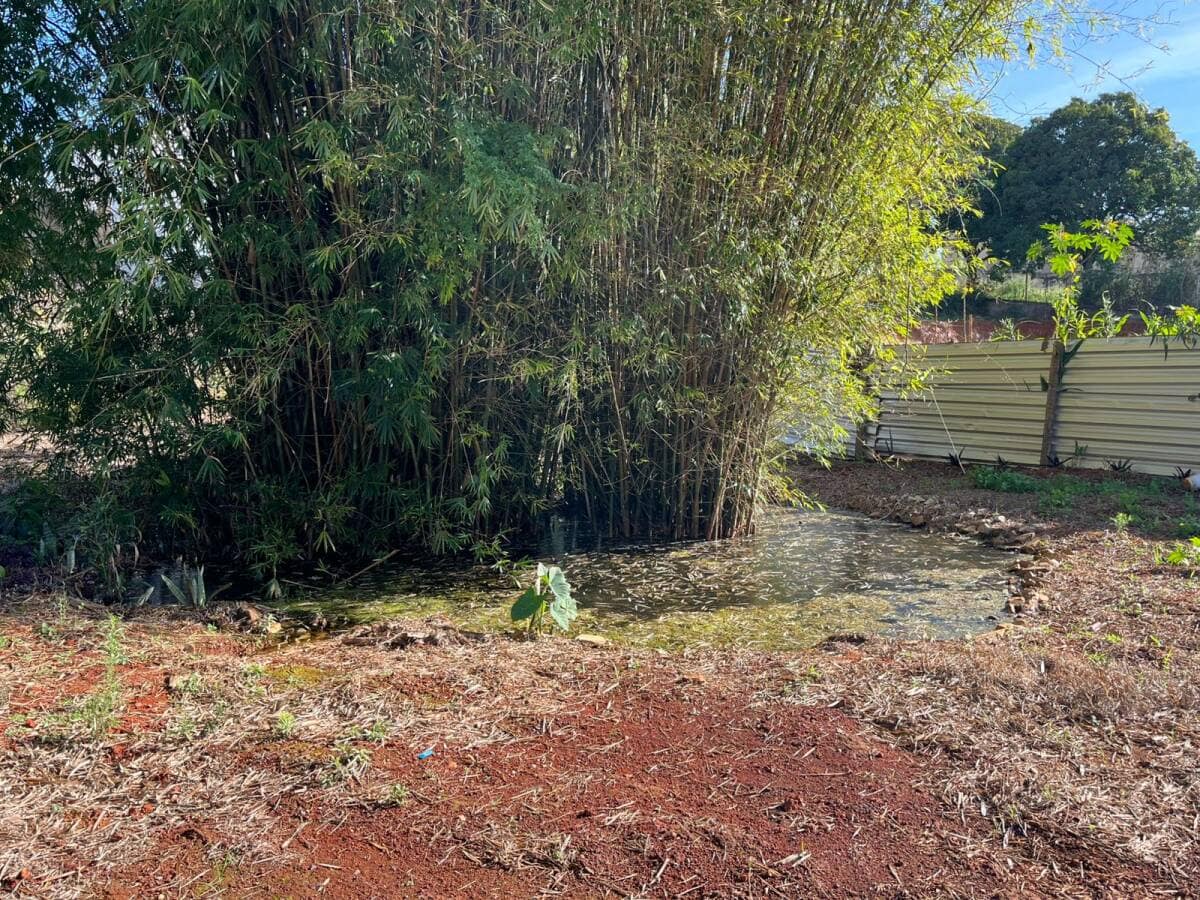 Preparação do Terreno | Ampliação da Casa Espírita - Foto 11