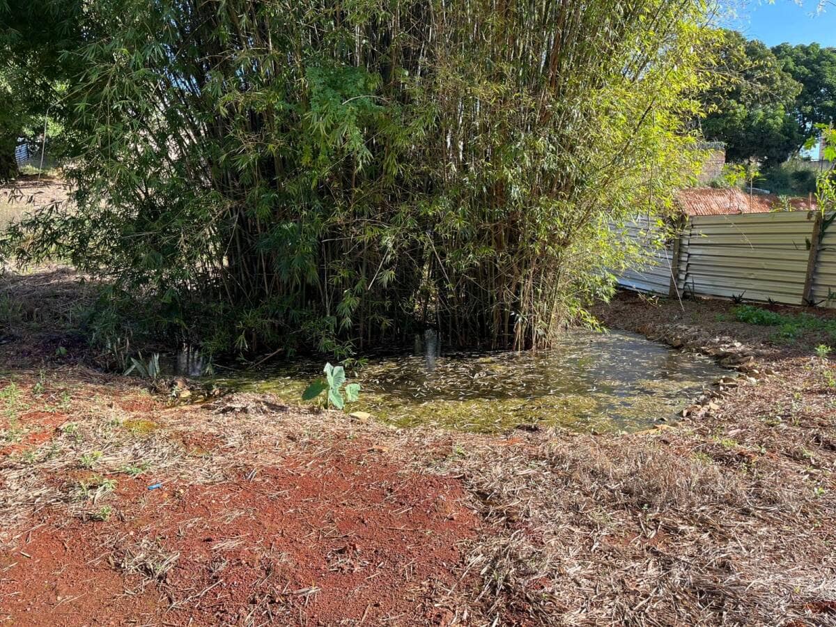 Preparação do Terreno | Ampliação da Casa Espírita - Foto 6