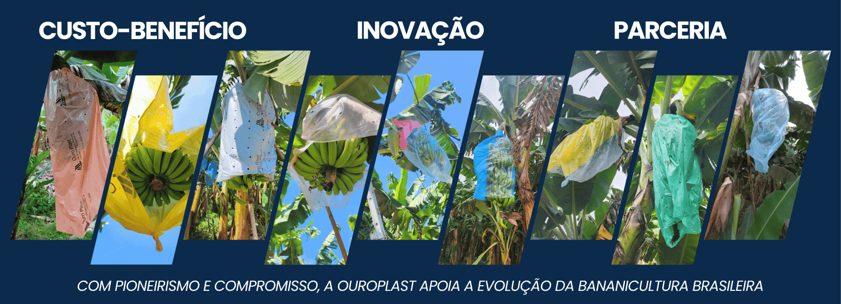 Imagem do Slide Home