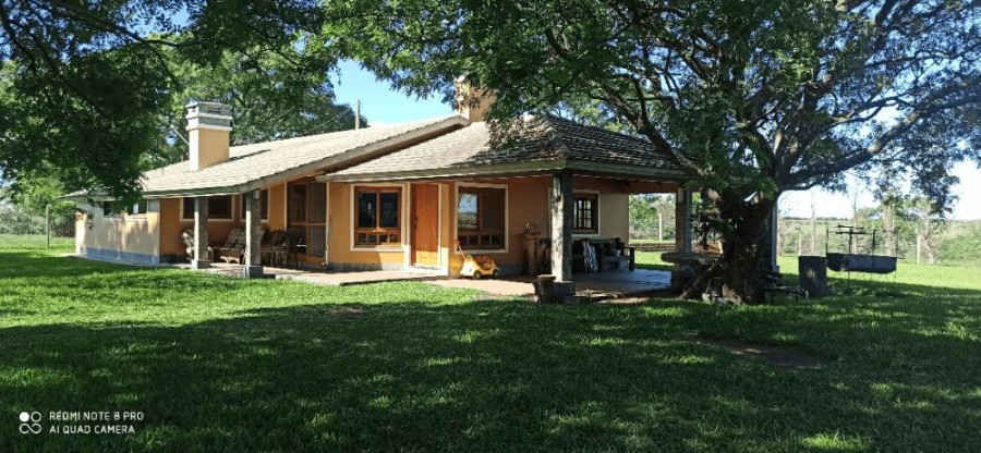 Fazenda Palminha Plano Alto - Uruguaiana/RS - Foto 1
