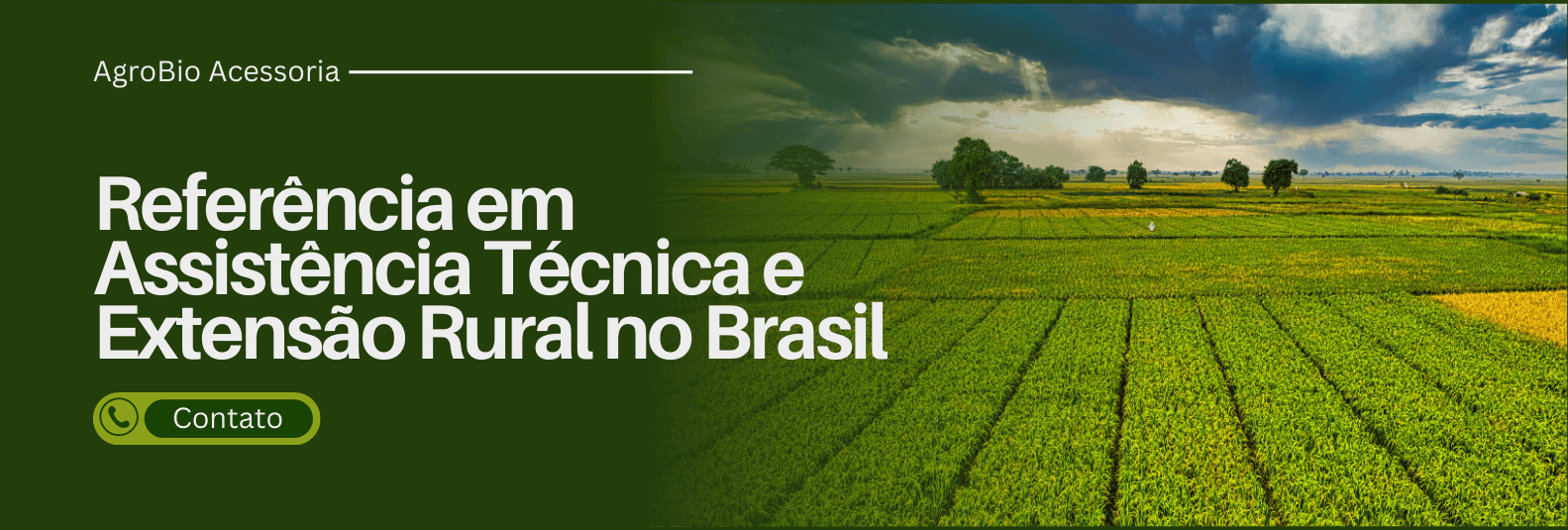 Imagem do Slide Home