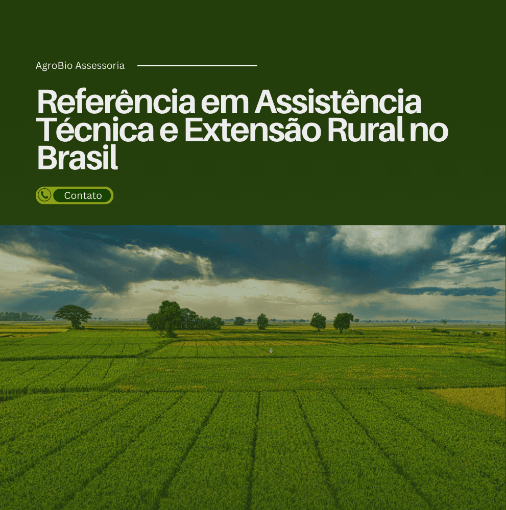 Imagem do Slide Home